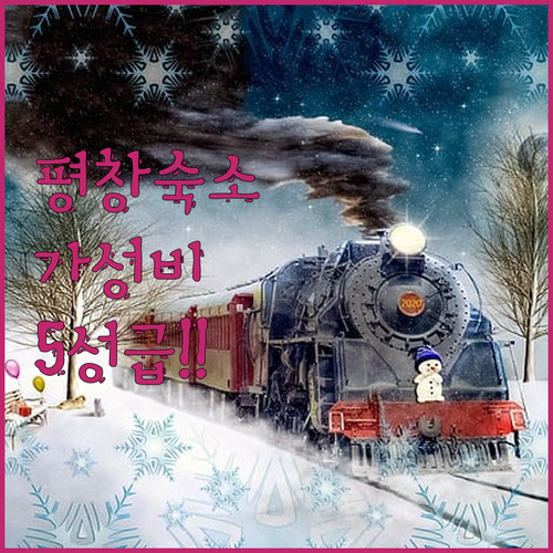 평창 가성비 숙소부터 5성급 호텔까지..