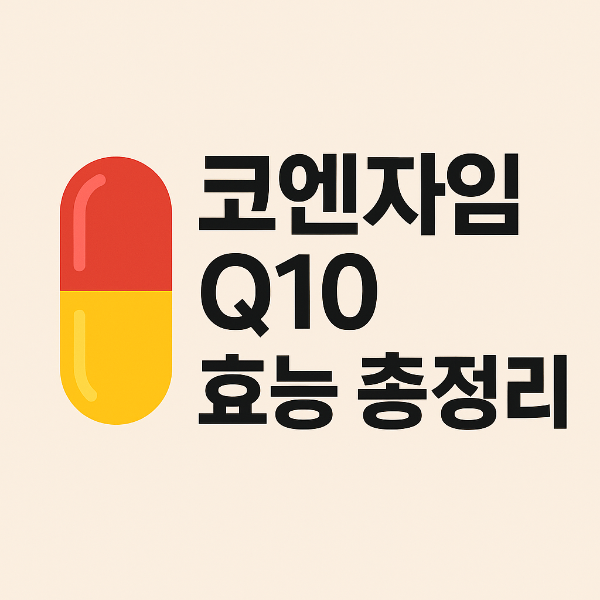 코엔자임q10 효능