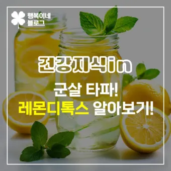 레몬디톡스 효과 부작용_24
