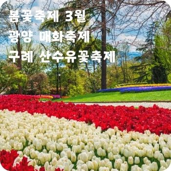 봄꽃축제 3월 광양 매화축제 구례 산수유꽃축제