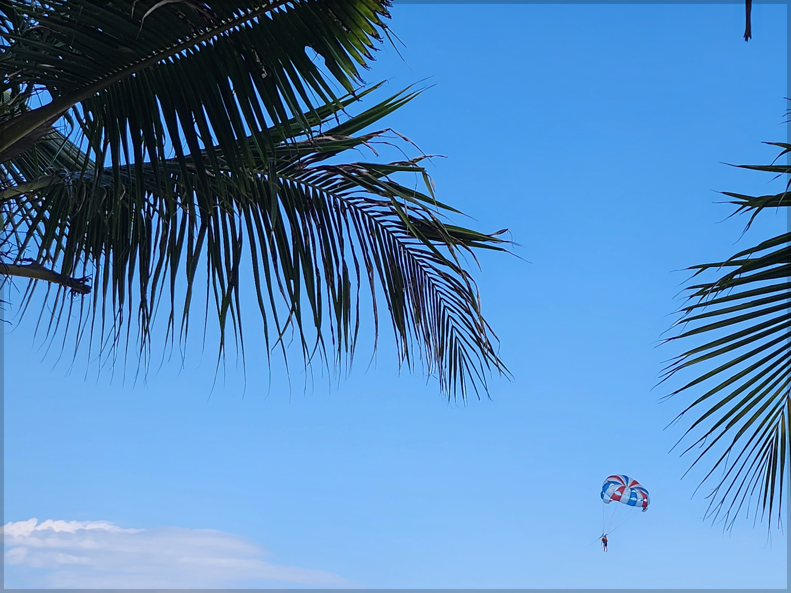 나트랑 크레이지 호핑투어