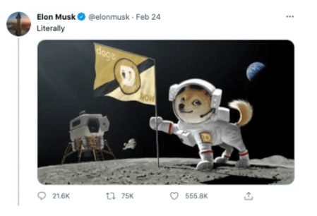 엘론머스크도지발언