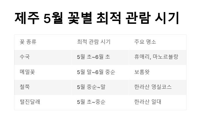 5월 제주도 연휴, 꼭 가봐야 할 명소와 축제