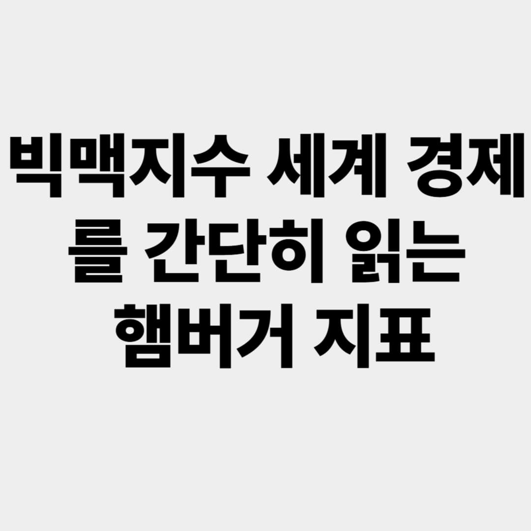 빅맥지수: 세계 경제를 간단히 읽는 햄버거 지표