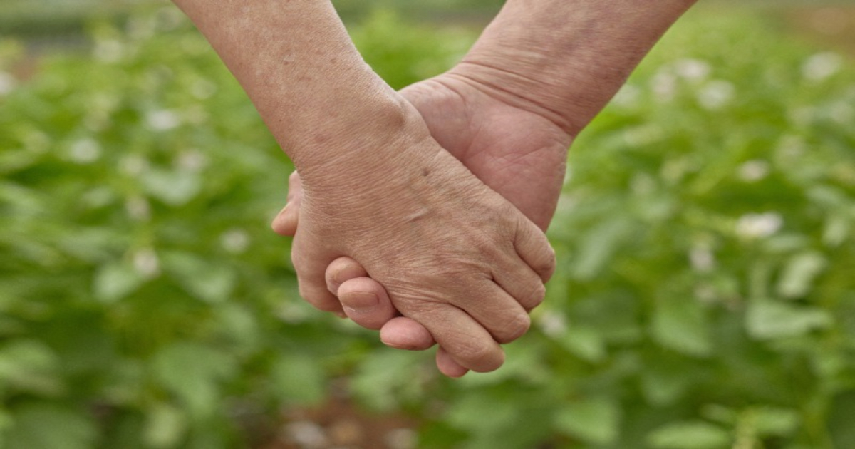 노령연금, 기초연금 중복