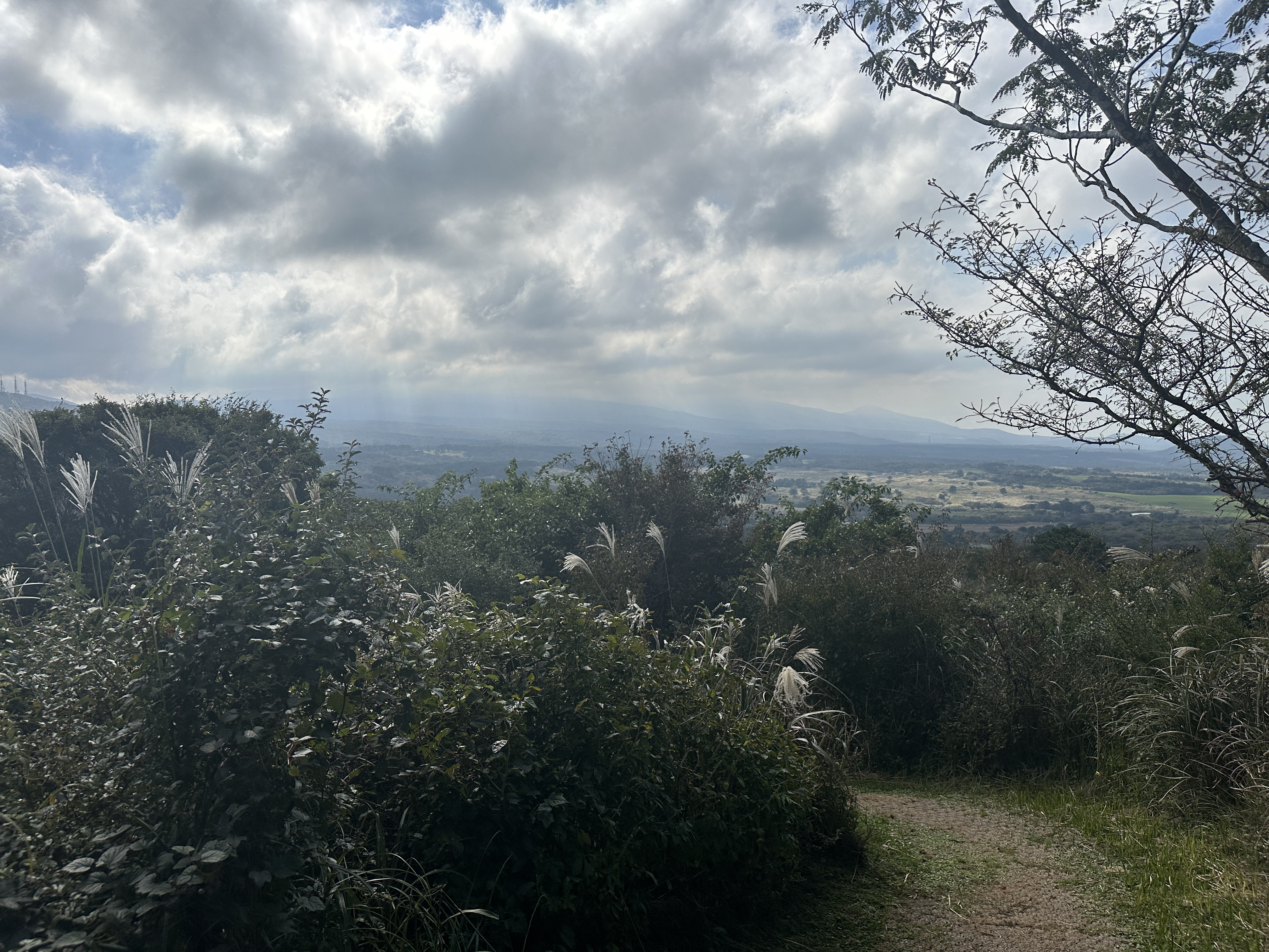 거친오름 탐방로