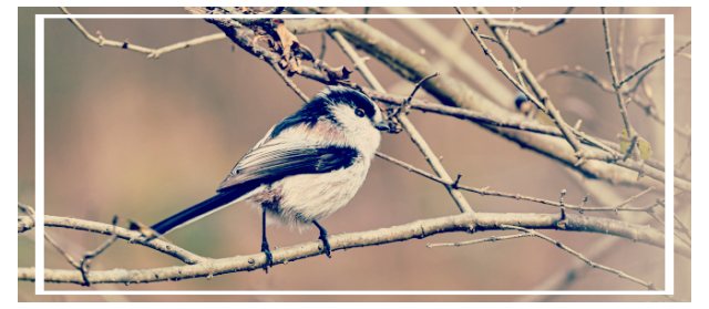 2월 둘째 주일 대표 기도문