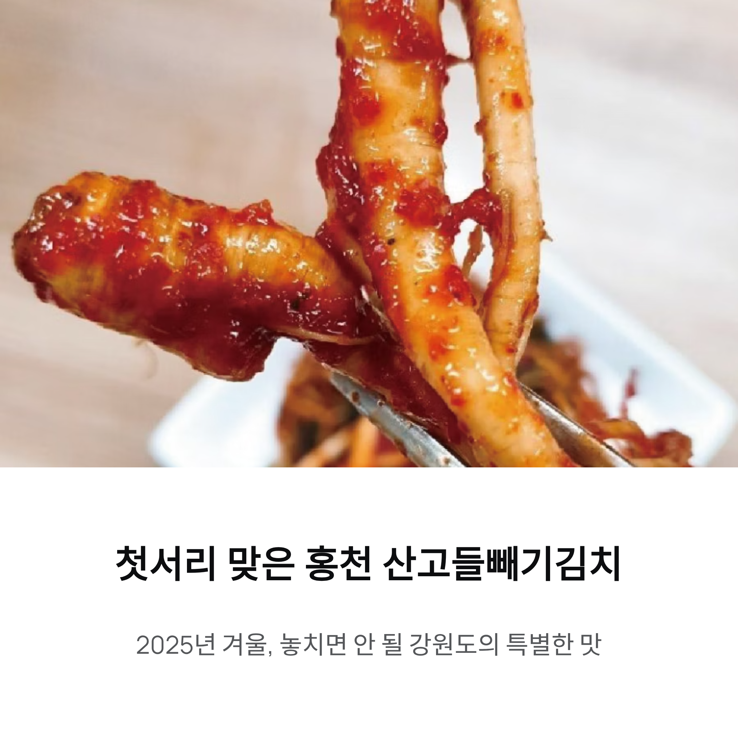 첫서리 맞은 보약 같은 홍천 산고들빼기김치, 2025년에 꼭 맛봐야 할 특별함