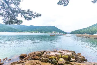한산도 배시간표 배편 요금 예약 _1