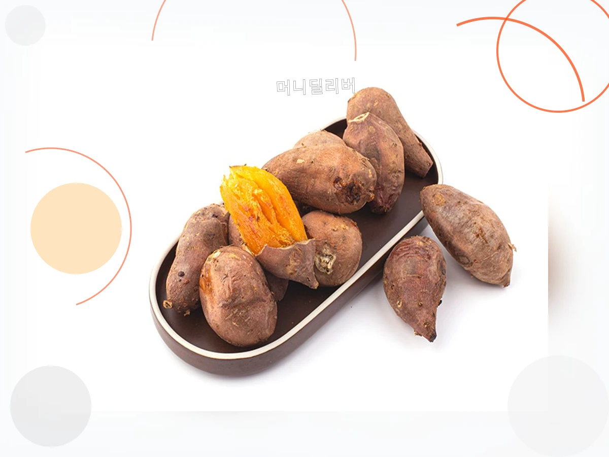 식이섬유_h2_4