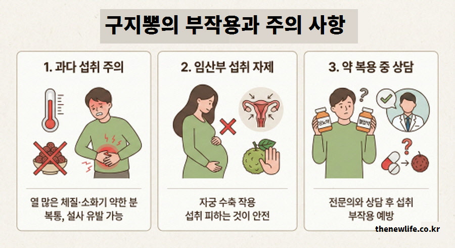 과다 섭취 시 복통 설사, 임산부 자궁 수축 위험, 당뇨약 혈압약 복용 시 주의 등 꾸지뽕 부작용과 주의사항 정리 이미지