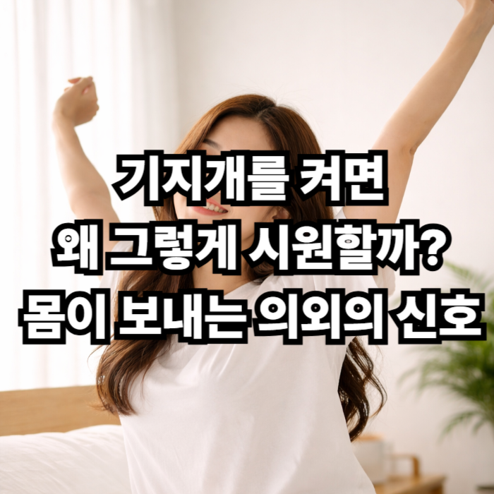 기지개를 켜면 왜 그렇게 시원할까 몸이 보내는 의외의 신호