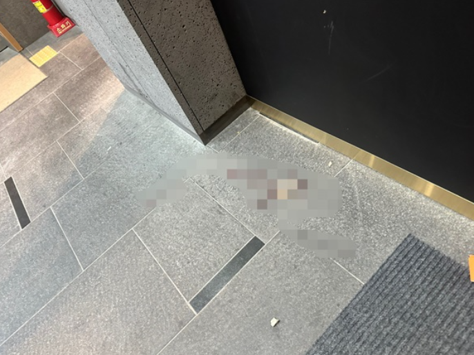 배현진 피습 현장