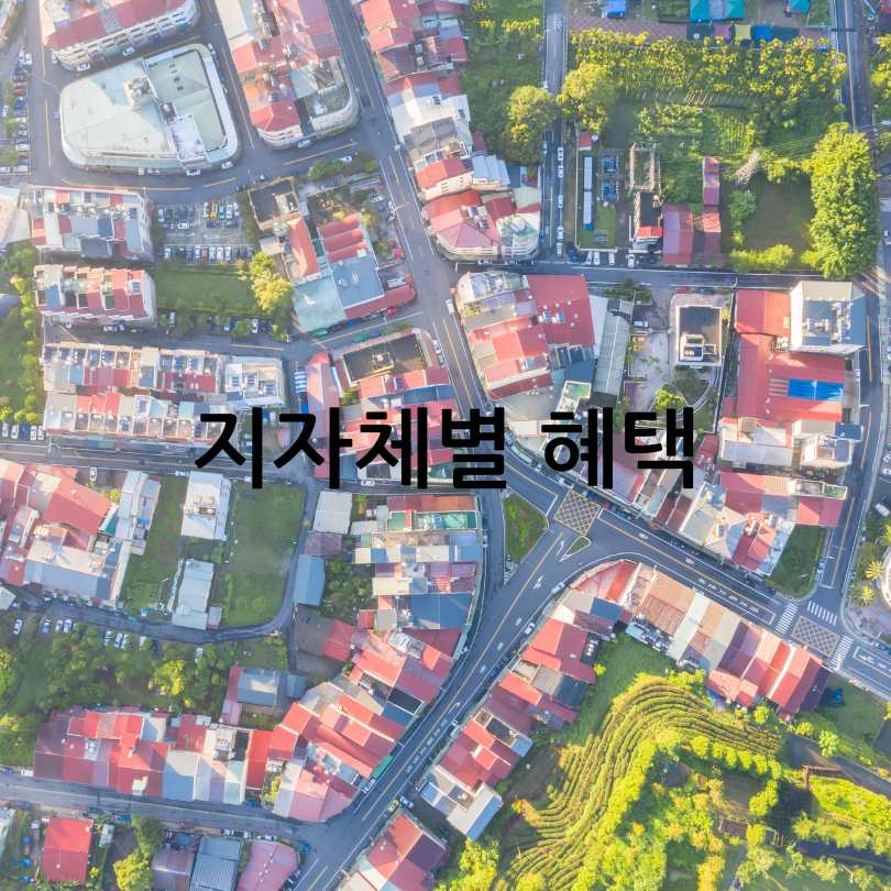 K-패스 확대 혜택