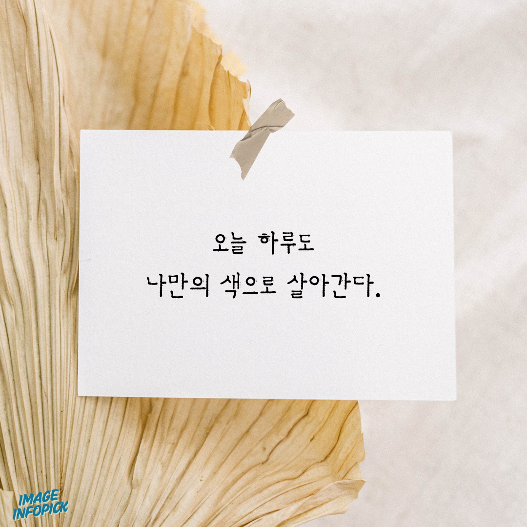 카톡 좋은 글귀 감성 글귀 감동 문구 이미지 모음