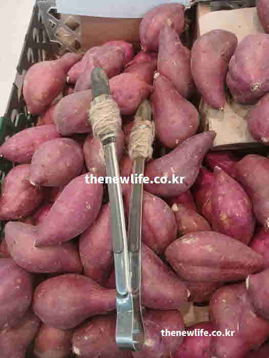 고구마 효능 요리 찌기 삶기