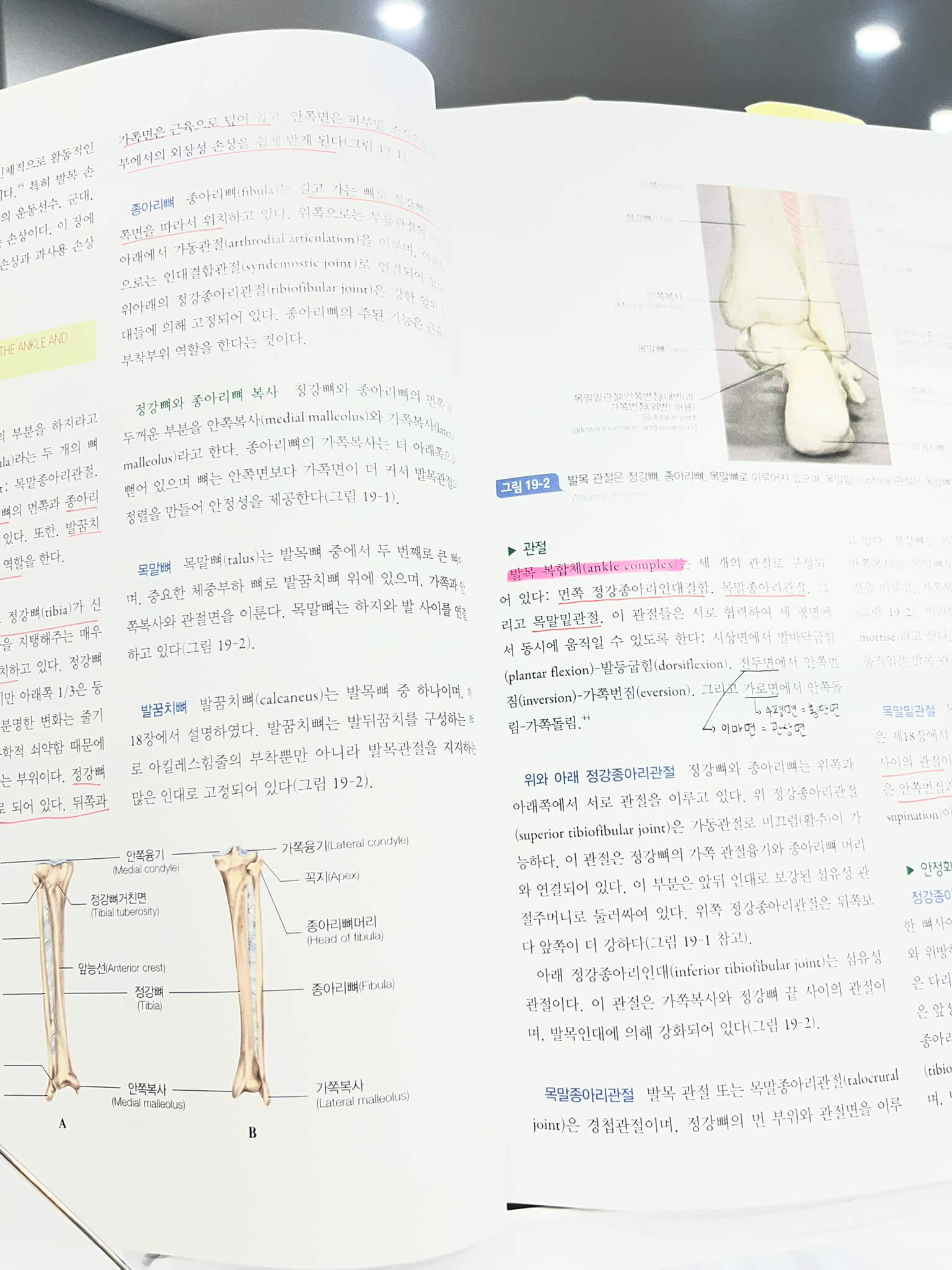 운동손상학 책