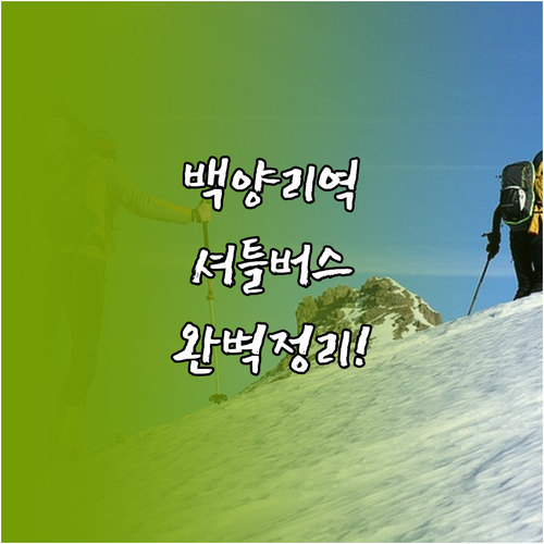 백양리역 전철 시간표와 엘리시안 강촌..