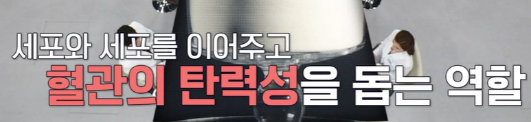 저분자 콜라겐 펩타이드 효능