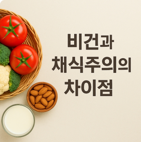비건과 채식주의의 차이점 완전 정복 : 식단부터 철학까지 자세히 알아보기