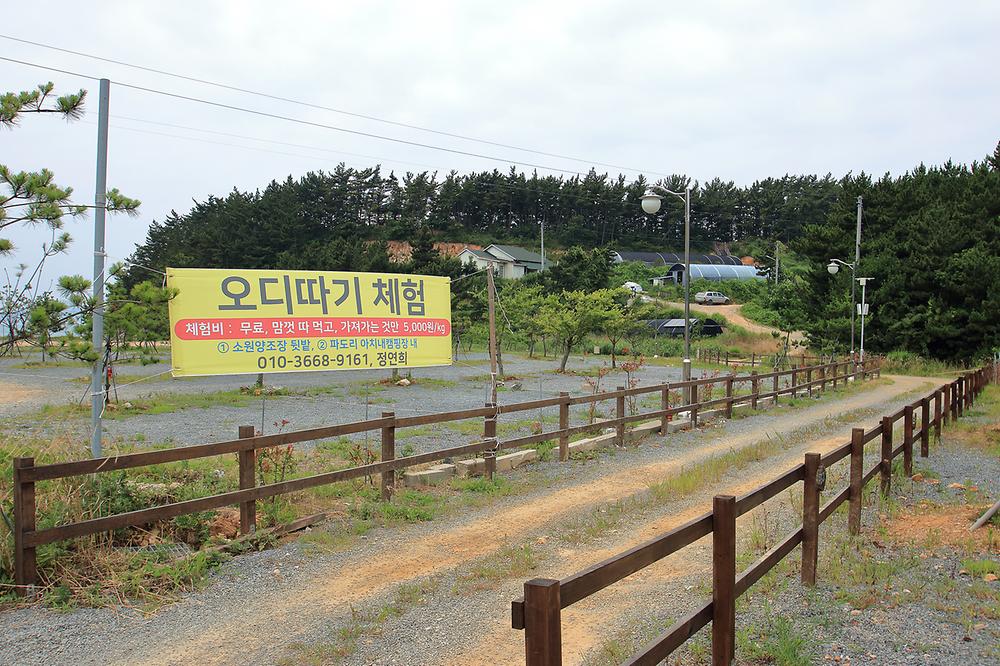 서해땅끝 아치내캠핑장 소개