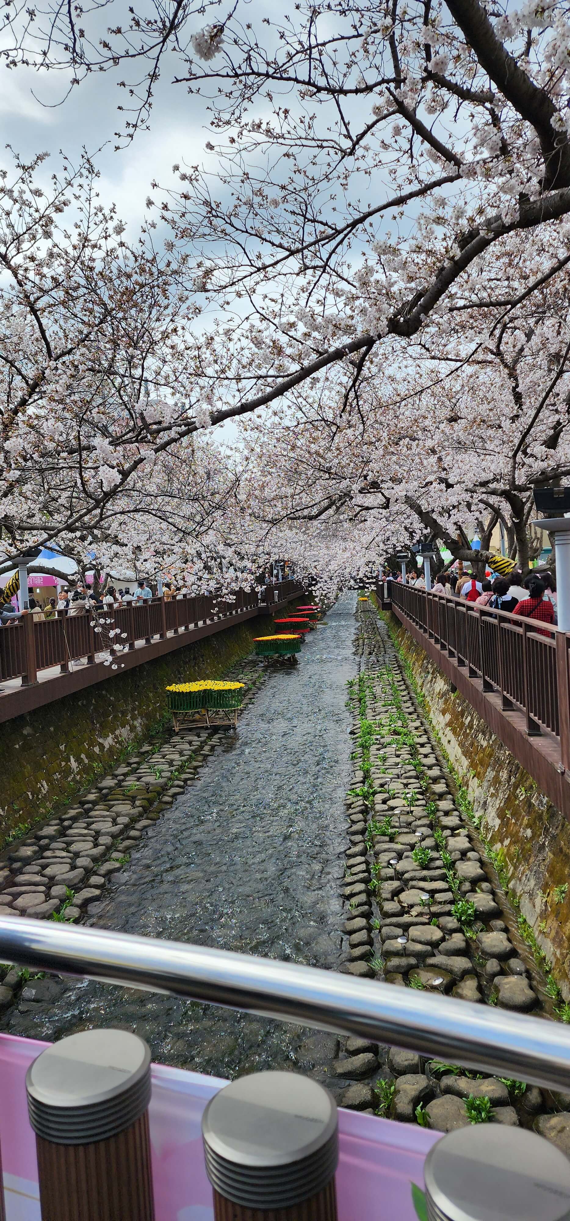 진해군항제벚꽃축제 주차장및행사일정9