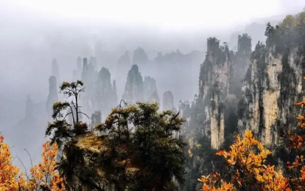 깎아지른-듯한-봉우리와-노랗게-물든-단풍으로-물든-가을-천문산