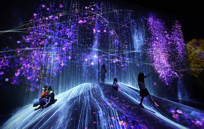 인터랙티브 아트