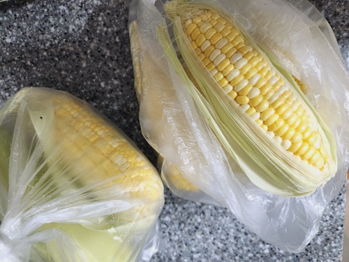 초당옥수수 전자레인지 찌는법 보관법 냉동 초당옥수수 먹는법