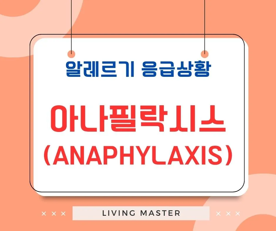 아나필락시스는 무엇인가?