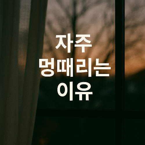 자주 멍 때리는 이유 이미지 글시