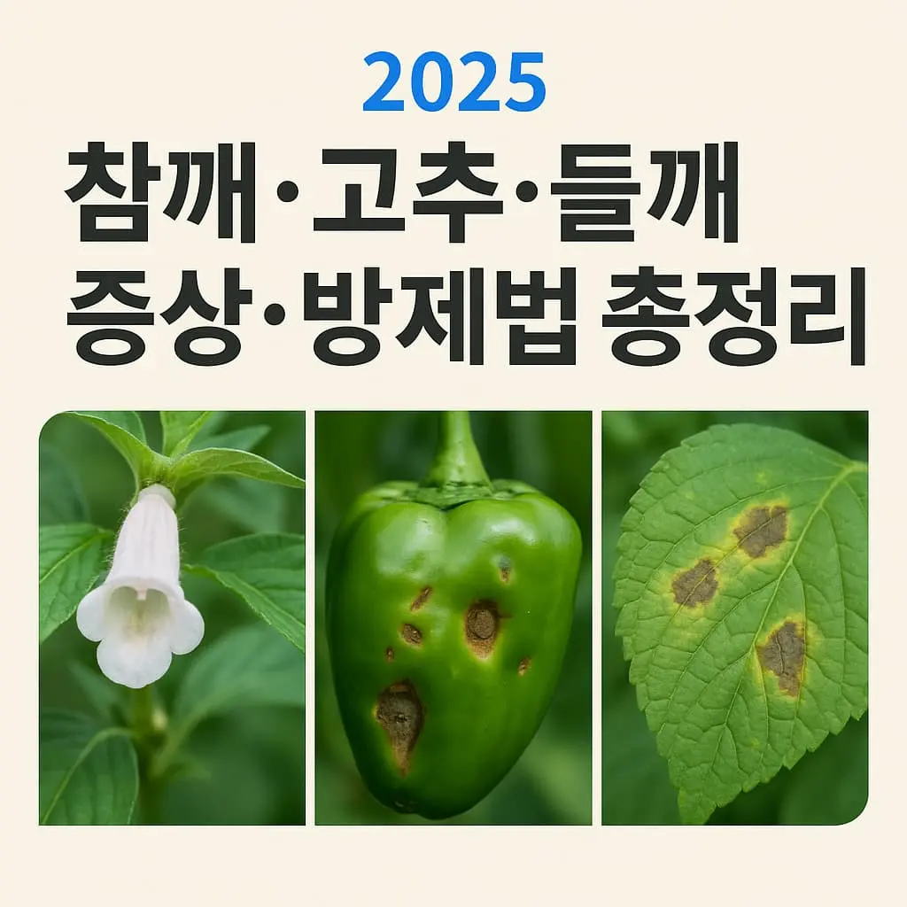 2025 참깨 병충해·고추 증상·들깨 방제법 총정리 – 옥상조경 작물별 대응 가이드