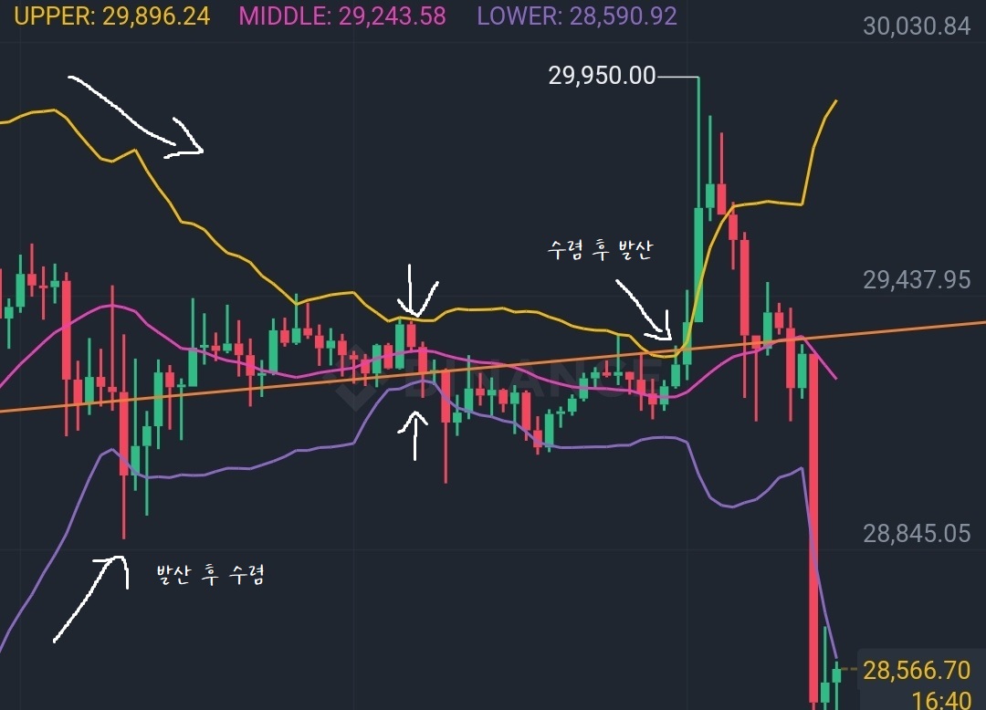1시간봉 차트