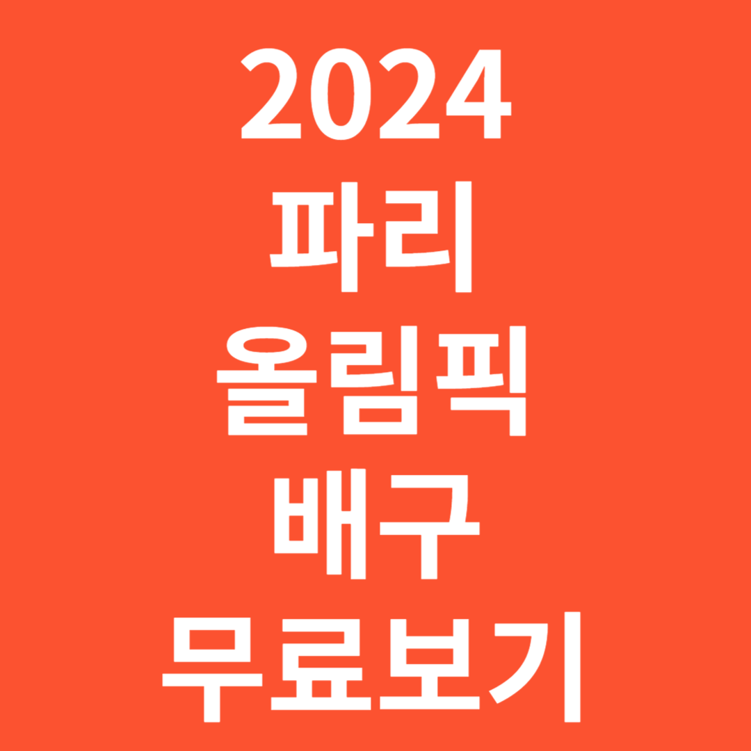 2024파리올림픽배구규칙역사일정