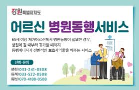 병원동행서비스