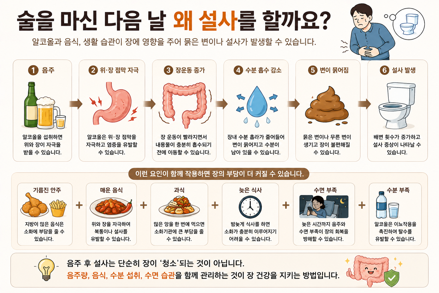 음주 후 설사와 소화관 변화에 관한 설명 그림
