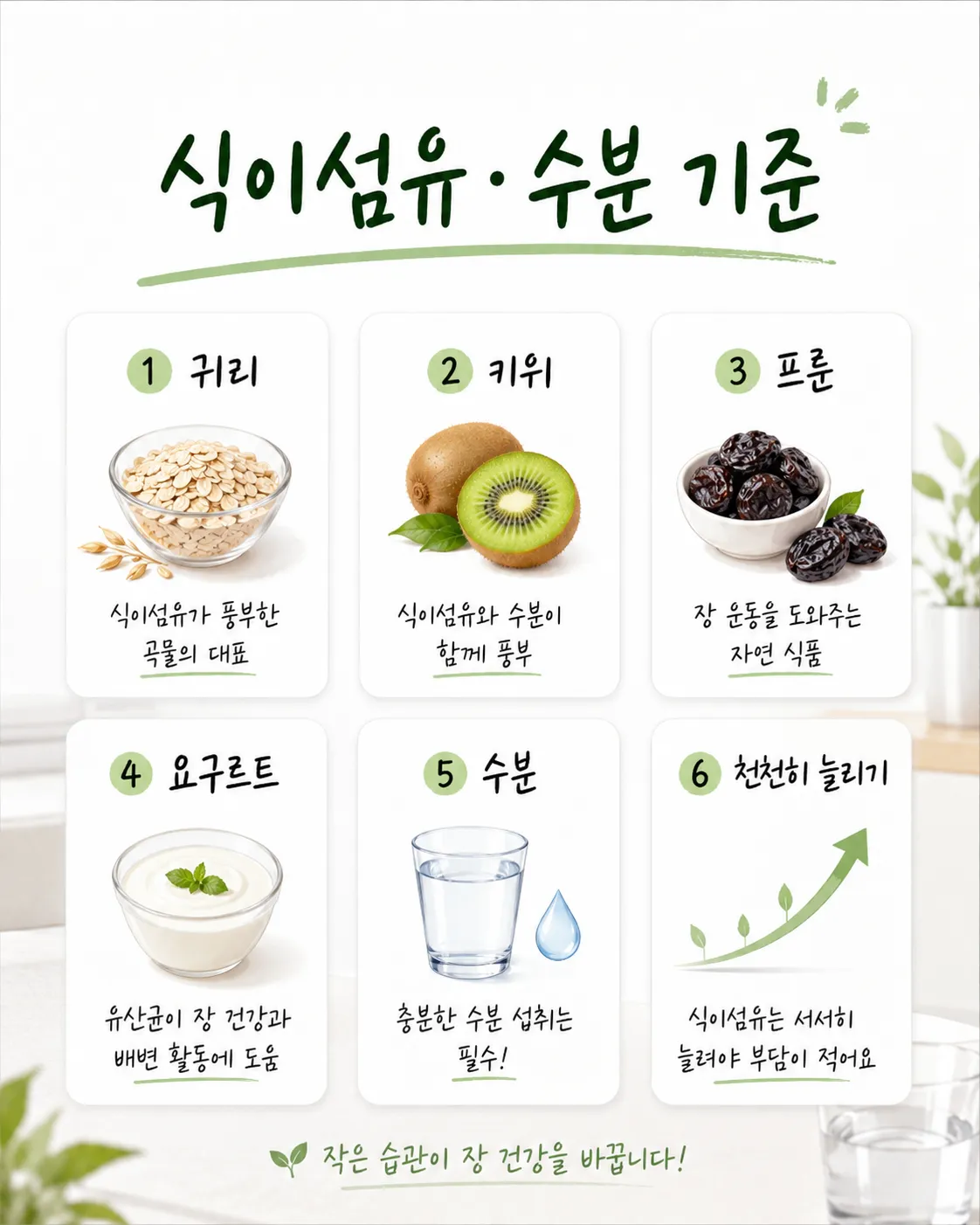 노인 변비 식이섬유 수분표