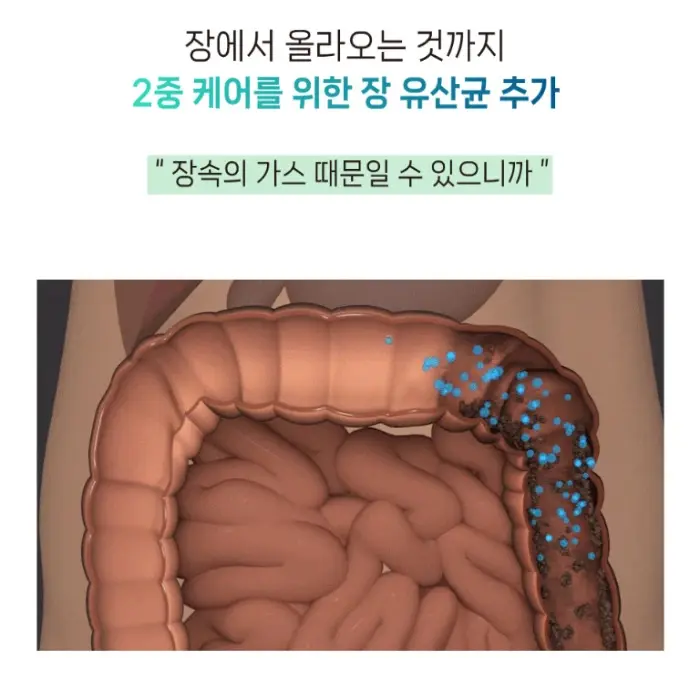 덴티오클린 내돈내산 후기 복용법 효과 부작용 가격 파는곳