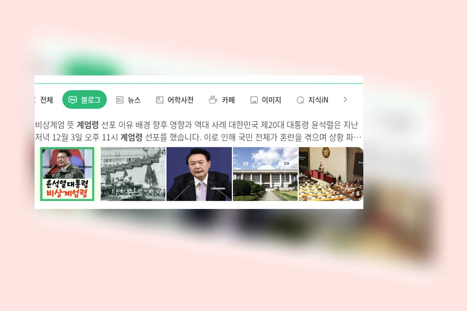 계엄령_1_subsection
