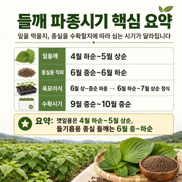 들깨 파종시기