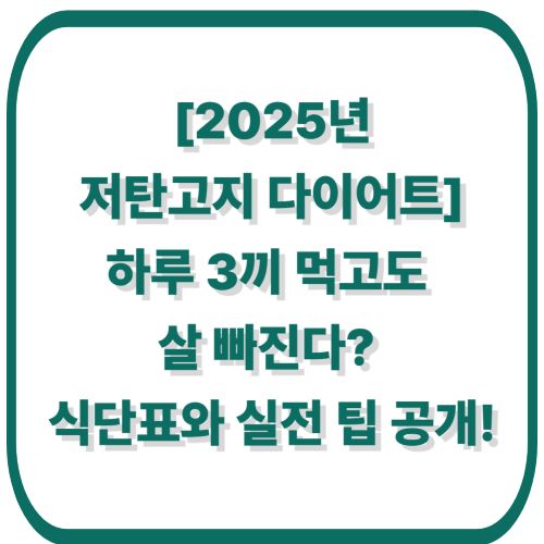 [2025 저탄고지 다이어트] 하루 3끼 먹고도 살 빠진다? 식단표와 실전 팁 공개!