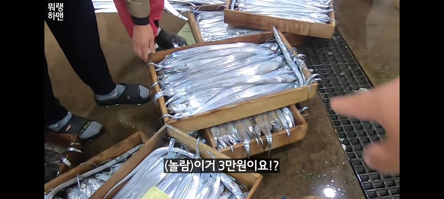 갈치 싸게 사는 방법
