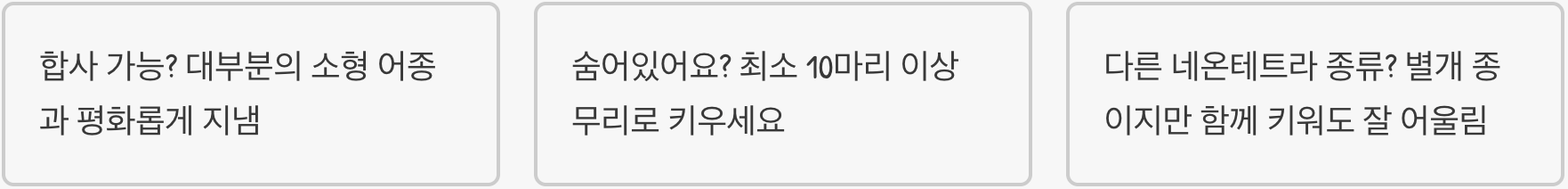 카디널테트라 vs 네온테트라, 완벽 구별법과 차이점