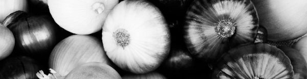 양파 수확시기, 양파 보관법: 수확, 보관 중요