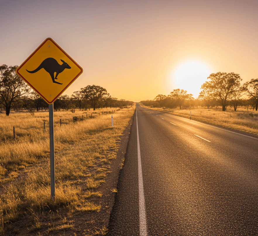 호주도로, 캥거루, 표지판, 나무, 석양