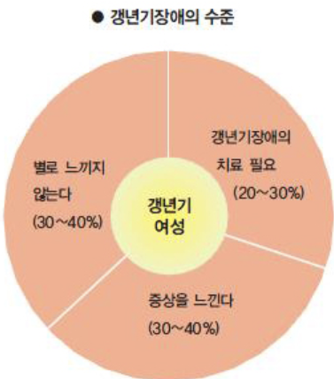 갱년기 증상 2
