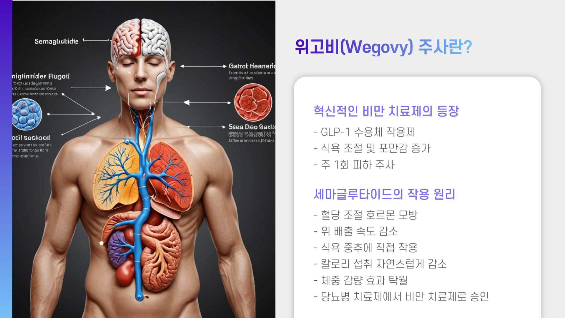 위고비 주사와 알약