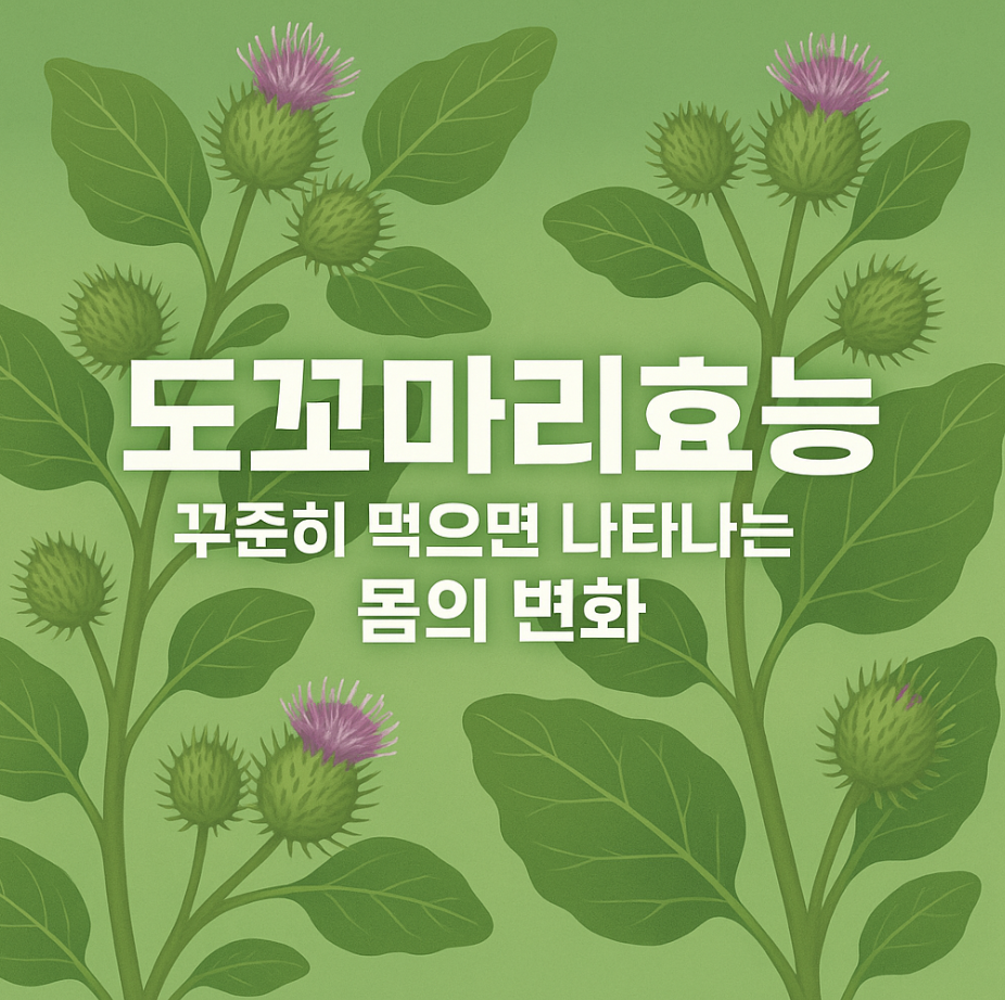 도꼬마리효능, 꾸준히 먹으면 나타나는 몸의 변화