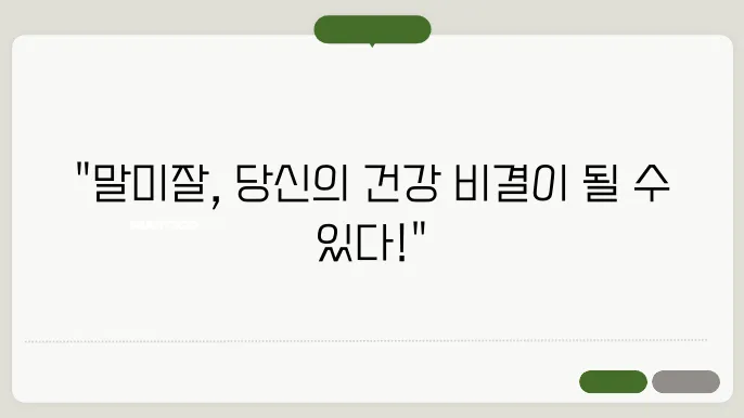 말미잘 효능