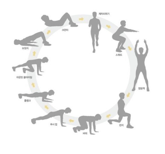 서킷 트레이닝 예시 사진